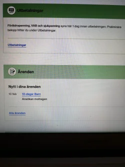 15506913377945358424178098087043.webp