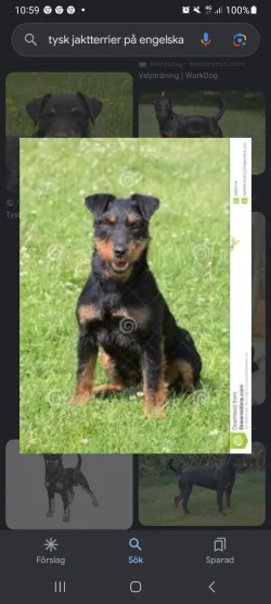 Screenshot_20240116_105956_Google.webp